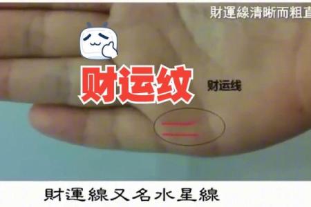 一掌在手，财运亨通：揭秘手相中的财富密码