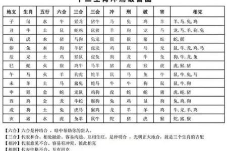 男龙女鼠：相配还是不配？生肖婚配大揭秘