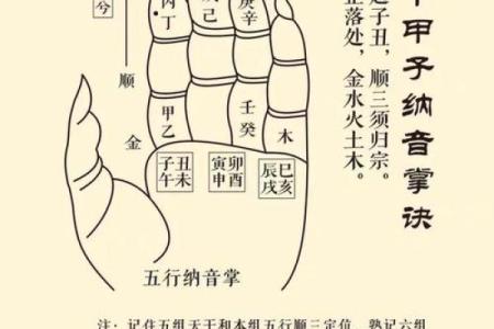 免费纳音命理算命，揭示你的人生命运