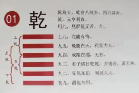 乾命卦：揭秘命运之门的神秘密码