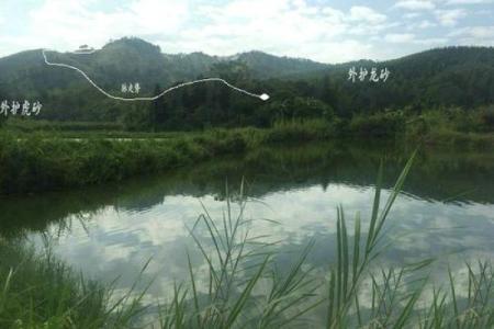 王君植风水秘术：揭秘改变命运的风水布局绝学