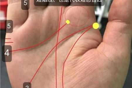 揭秘：女m字纹手相的秘密，运势、爱情全掌握