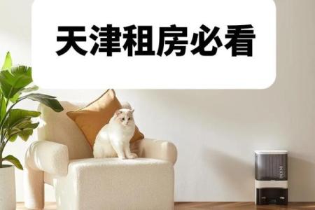 租房必看：这些风水禁忌，让你住得安心又顺心