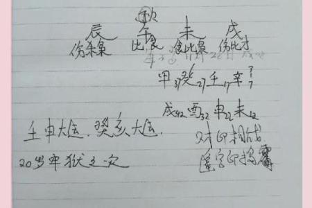 乙亥命格：揭秘你的命运密码
