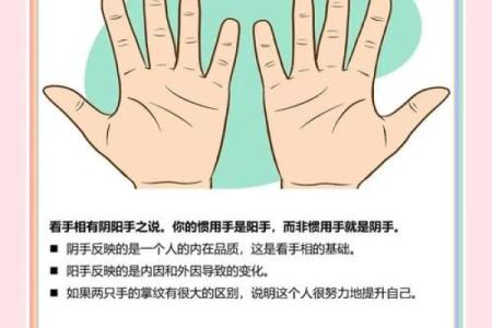 手相手暖，揭秘你的命运密码