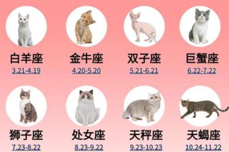 十二星座萌宠壁纸，萌化你的每一天