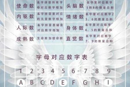 起名元大揭秘，带你走进命名的奥秘世界