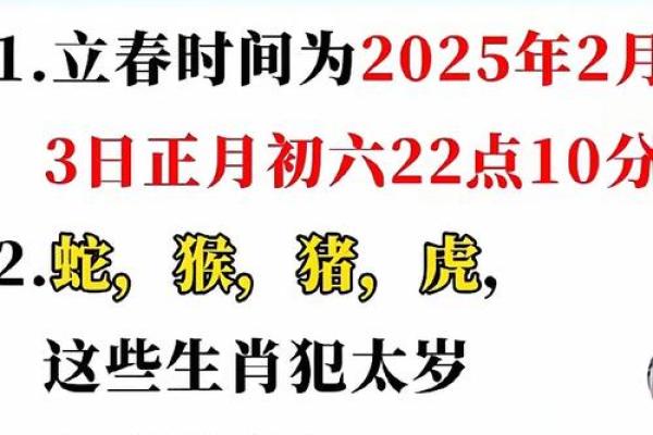 柳猜生肖：揭秘生肖背后的神奇密码