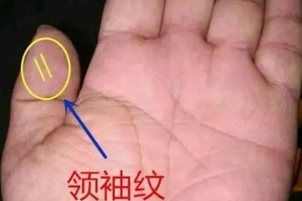 手相揭秘：女性财库纹的神奇力量，财运亨通的秘密