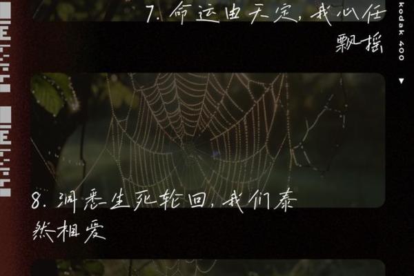 命前命后：揭秘生死轮回的秘密