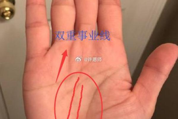 揭秘事业线手相：女性成功密码大公开