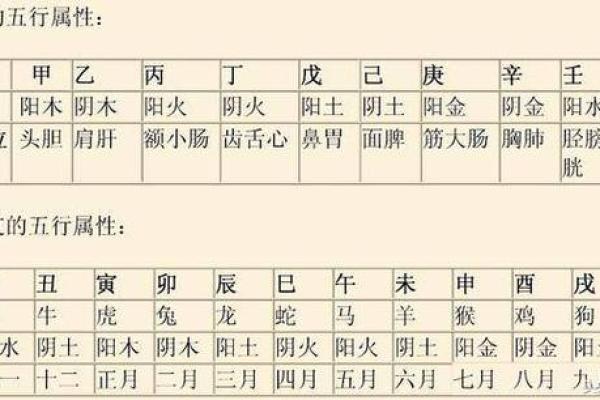 最新门排盘趋势：你的运势会发生哪些变化？