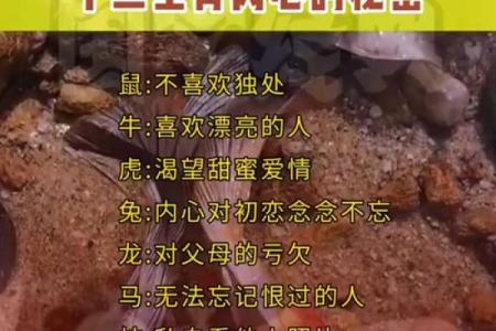 十二生肖，默打人生，揭秘生肖背后的秘密