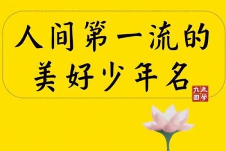 起名栋技巧大揭秘，让你的家更有气场