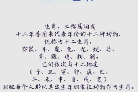 生肖食趣：揭秘十二生肖的独特美食密码