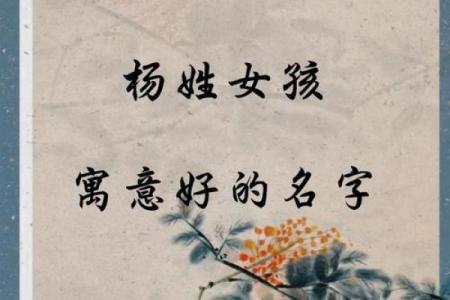 杨起名艺术：如何为孩子选择一个符合五行的名字