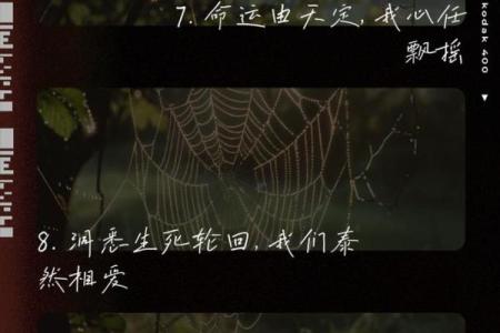 命前命后：揭秘生死轮回的秘密