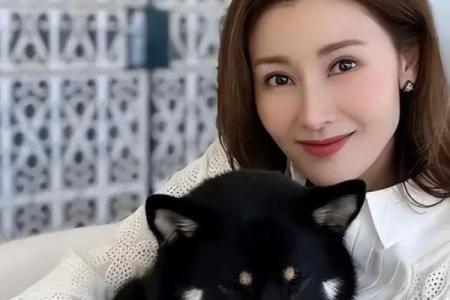 李嘉欣八字中的财富与爱情密码，深度剖析