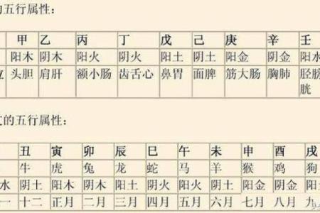 最新门排盘趋势：你的运势会发生哪些变化？
