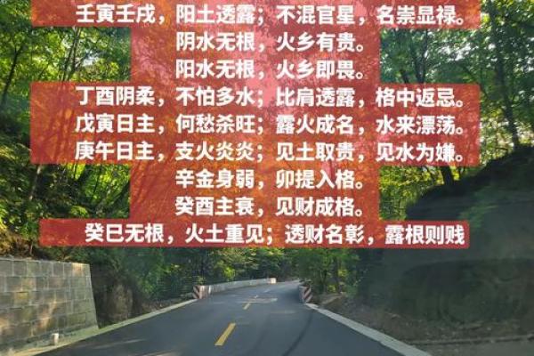 金多八字的命运解密