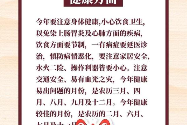 生肖运势揭秘：2024年属相运势大解析，财运、事业、健康全面分析