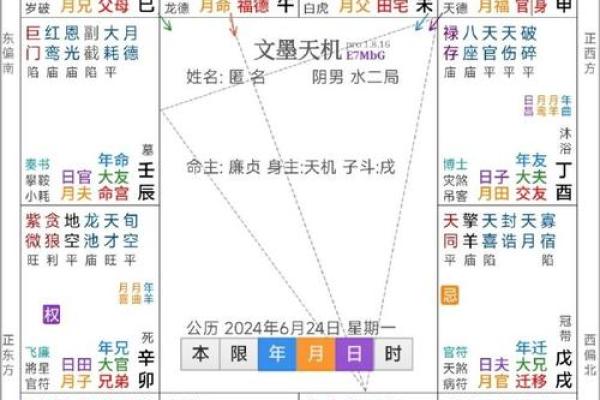 揭开香港紫薇斗数排盘的神秘面纱，你的命运将如何改变？