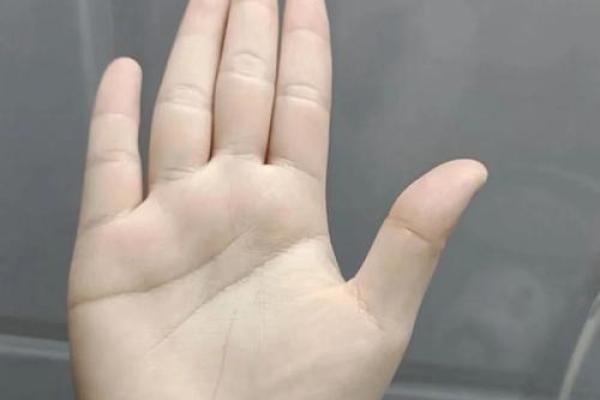 揭秘双手通贯手相的惊人秘密，财运、事业、健康尽在掌握