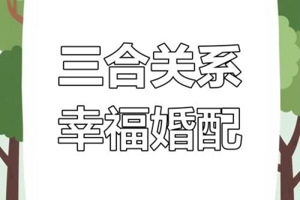 狗男虎女相配大揭秘