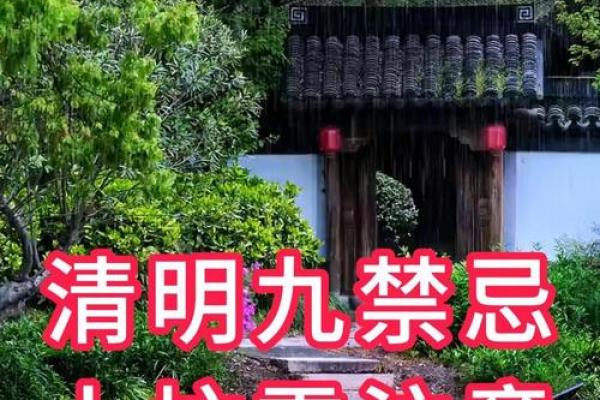 清明祭祖，风水宝典揭秘：上坟必备物品大揭秘
