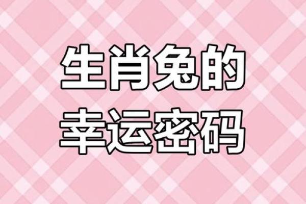 属兔的注意揭秘2024年运势大逆袭