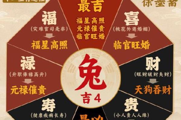 属兔的注意揭秘2024年运势大逆袭
