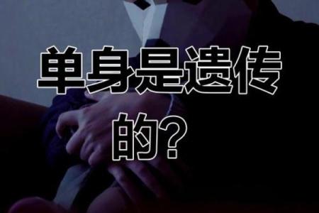 揭秘：单身命，揭秘那些注定孤独的灵魂