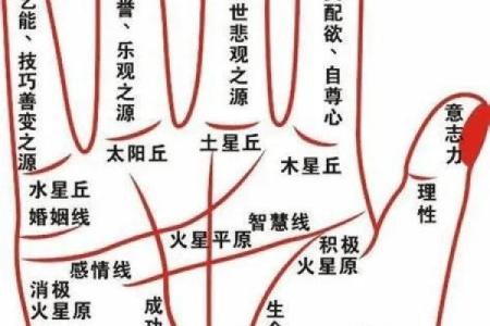 揭秘双手通贯手相的惊人秘密，财运、事业、健康尽在掌握
