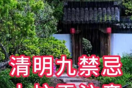 清明祭祖，风水宝典揭秘：上坟必备物品大揭秘