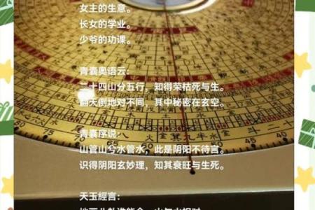 凤宅风生水起：揭秘风水布局的神奇魔力