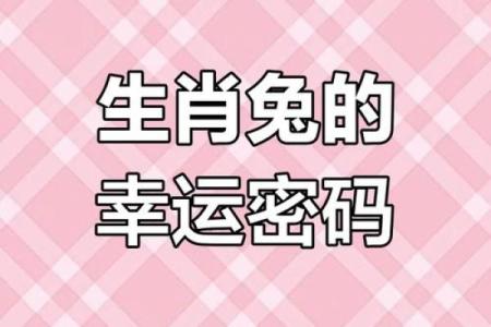 属兔的注意揭秘2024年运势大逆袭
