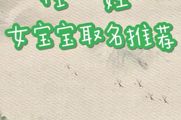 最流行的任姓宝宝名字推荐