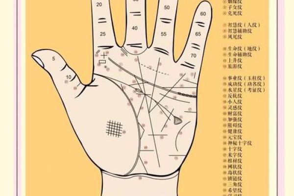 揭秘男性手相奥秘：大拇指手相大全，助力你读懂命运之谜