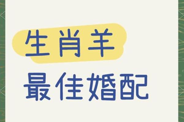 羊年男士魅力配，揭秘最佳生肖佳人