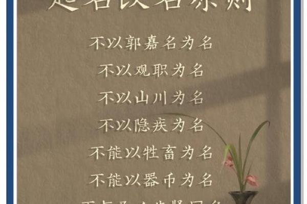 公司起名的关键因素：这些原则你一定要了解