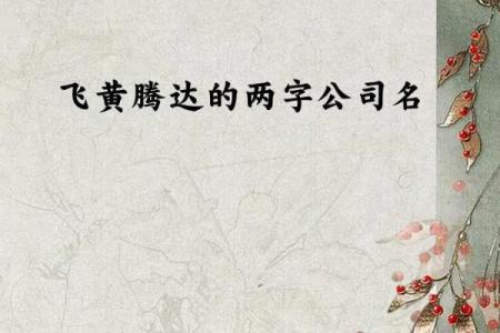 打造独特合股公司名字，助力品牌腾飞