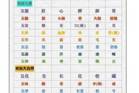 铄五行属性揭秘