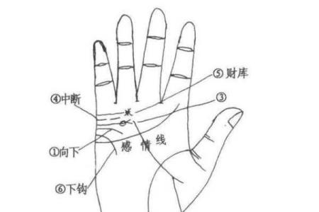 掌中密码：女人手相揭秘，揭秘男人手的力量与秘密