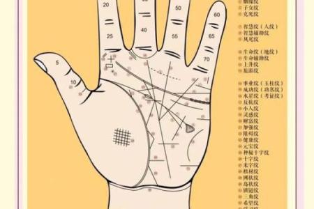 揭秘男性手相奥秘：大拇指手相大全，助力你读懂命运之谜
