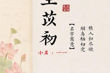 王姓男孩起名秘籍：让孩子的名字充满幸运与智慧