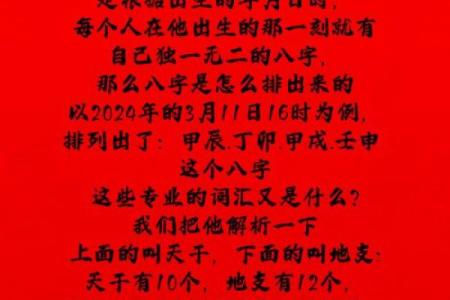 掌握八字命理技巧，改变你的未来
