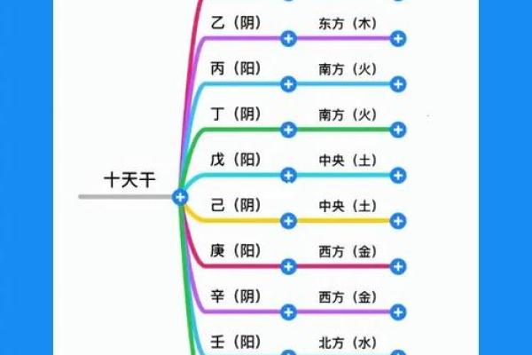 深度剖析十二天干地支五行，轻松掌握命运之道