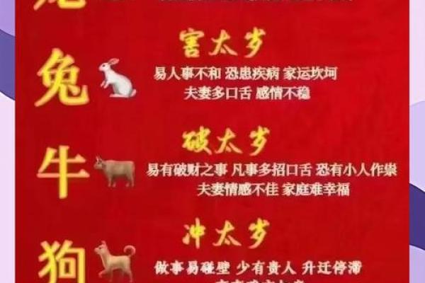 生肖2024运势大揭秘：龙腾虎跃，运势翻倍