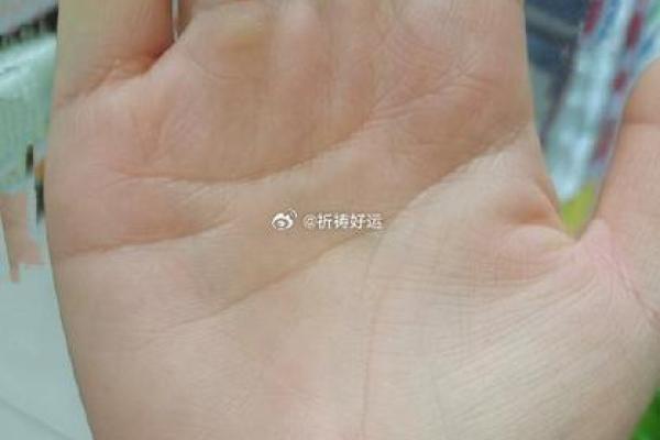 手相揭秘：智慧线长短影响命运，一招教你读懂未来