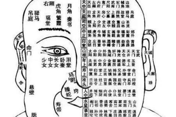 面相成熟揭秘：揭秘影响面相成熟的五大关键因素